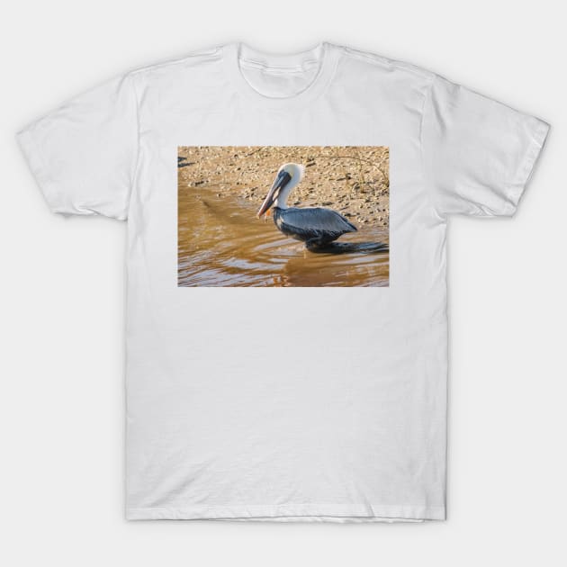 Wader bird of Calabash T-Shirt by KensLensDesigns